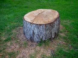 Best Leaf Removal  in Wlow Springs, IL